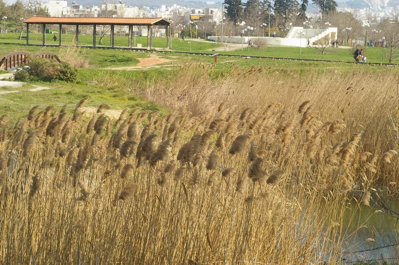 BIOS - Sunday - 18.jpg