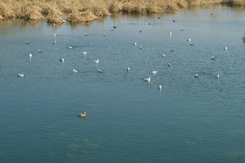 BIOS - Sunday - 15.jpg