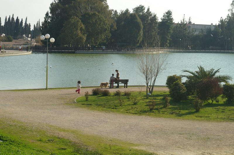 BIOS - Sunday - 14.jpg