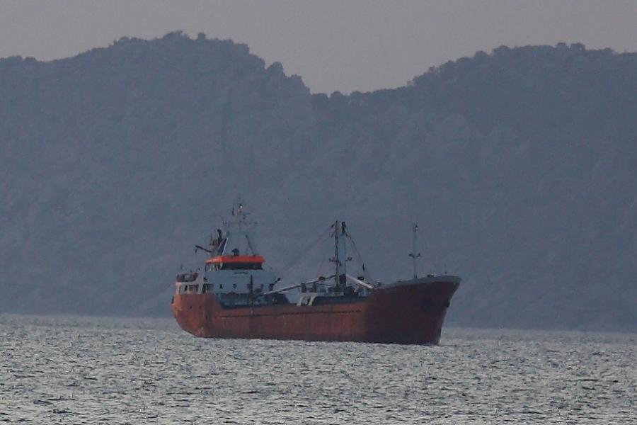 IMG_0889 100CROP.jpg