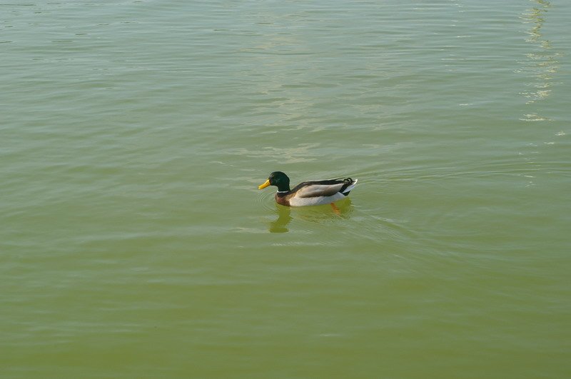 BIOS - Sunday - 08.jpg