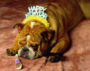 hungoverdog.gif