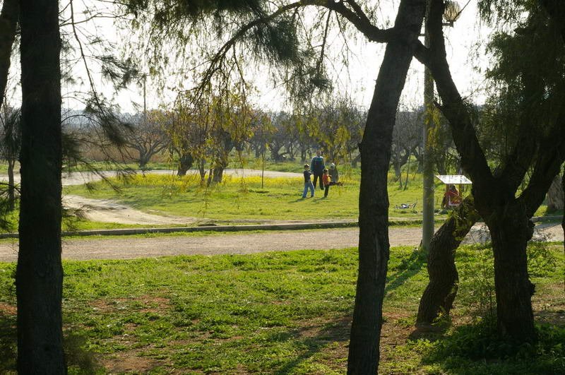 BIOS - Sunday - 04.jpg