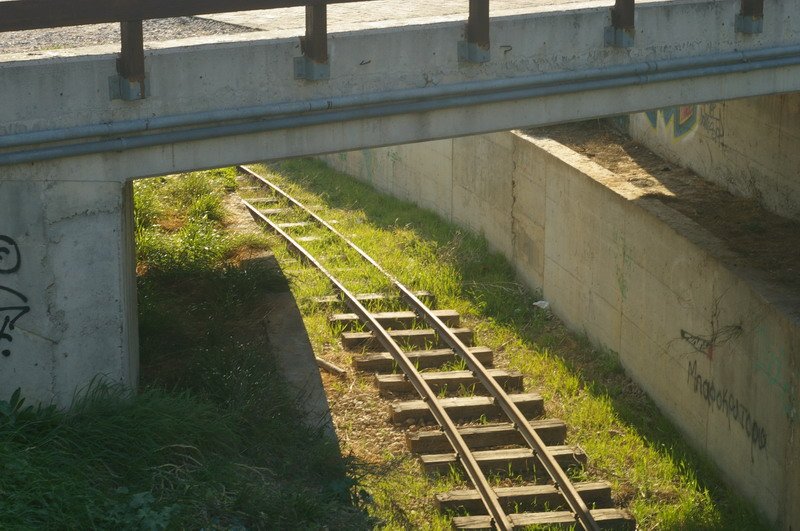 BIOS - Sunday - 02.jpg