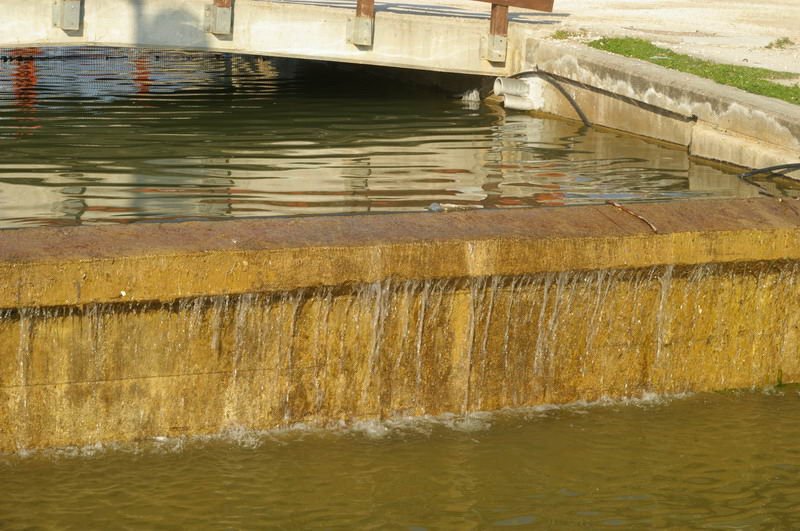 BIOS - Sunday - 03.jpg