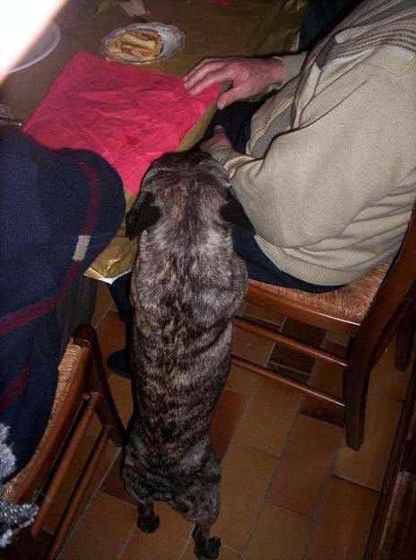 100_2072A.JPG