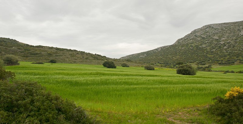 20090405-_DFX0240.jpg