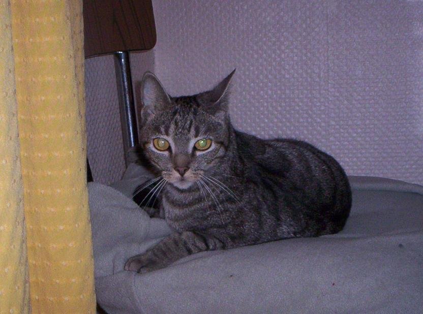 100_2316A.JPG