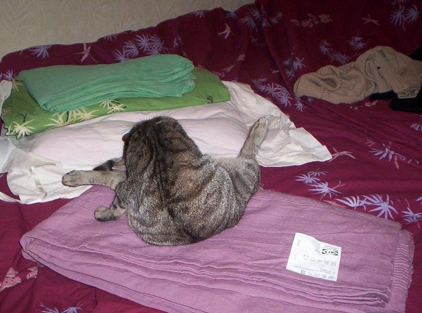 100_2321A.JPG