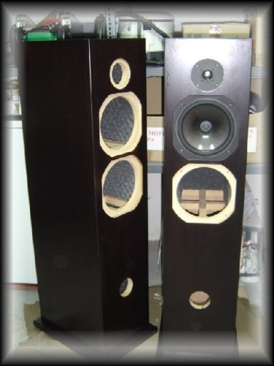 arcos_enclosure_5sv.jpg