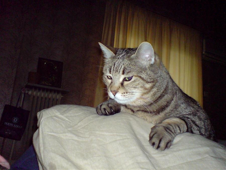 DSC00040.jpg