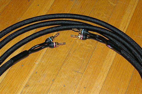 Monster Z2 refere3nce1.jpg