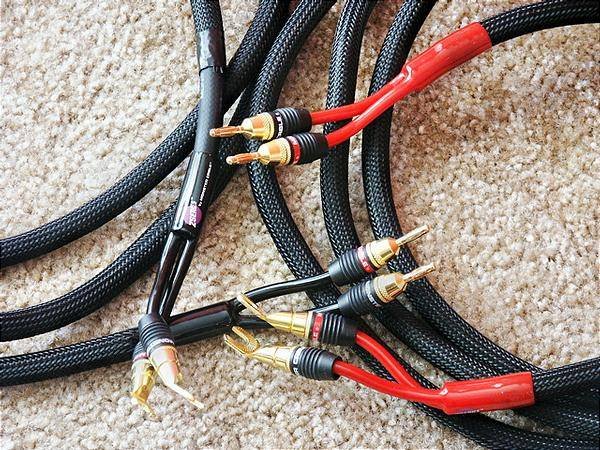 Monster Z2 reference2.jpg