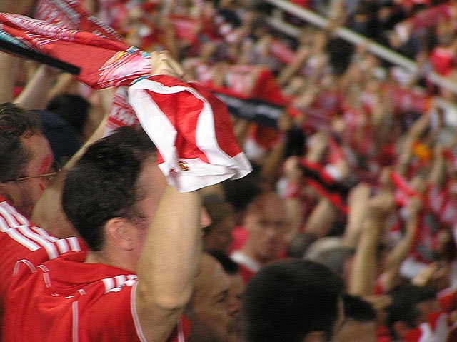 you'll never walk alone.jpg