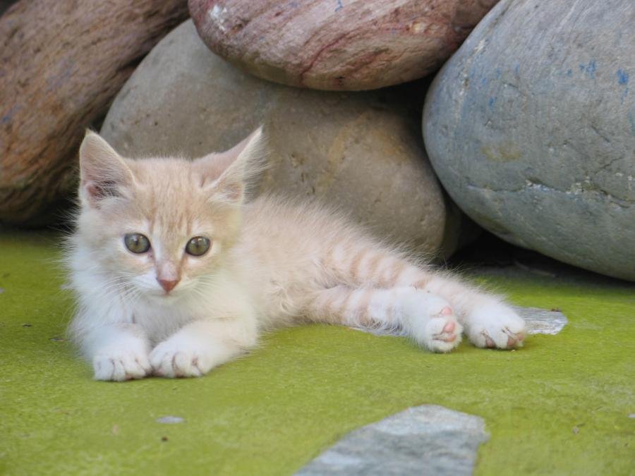 Picture 125.jpg Picture 125.jpg