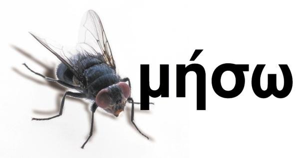 Miga.jpg
