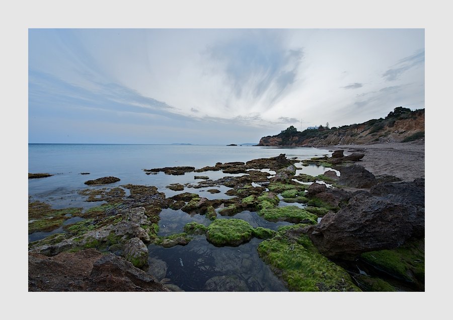 _DFX0717 - Version 3 (1).jpg