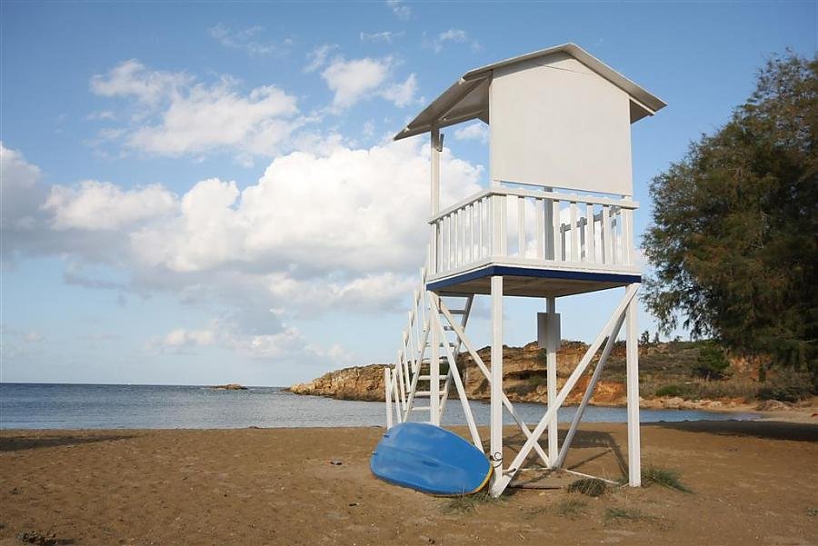 IMG_0045 (Large).jpg