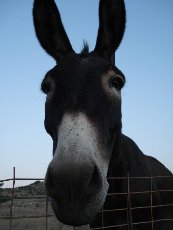 Γβ’ΓΒΉΓΒΊΓΕΓΒ½ΓΒ± 389.jpg Γβ’ΓΒΉΓΒΊΓΕΓΒ½ΓΒ± 389.jpg