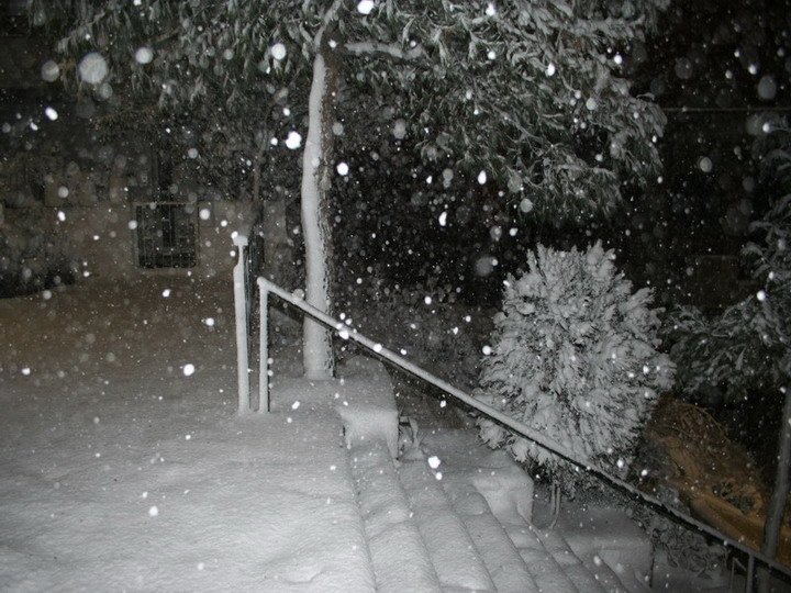 Z18-2-2008 9-41-57 ΓΒΌΓΒΌ_0043.jpg