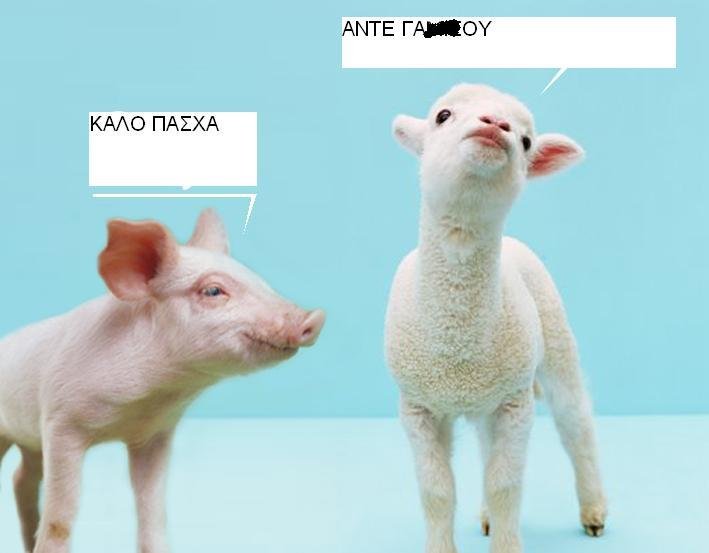 auguri.JPG
