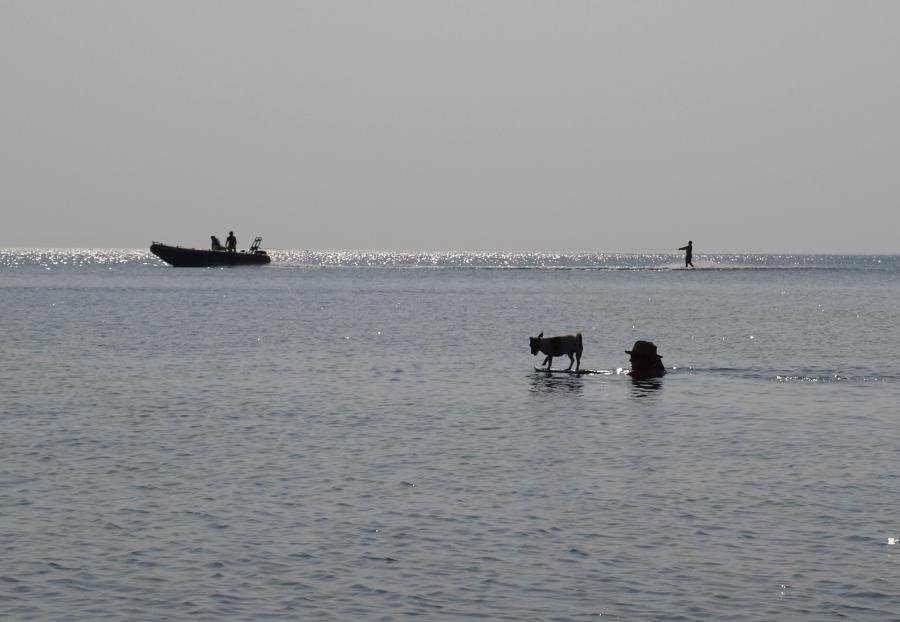 Milina2010 625crop.jpg