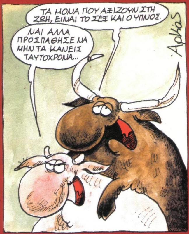 arkas8.jpg