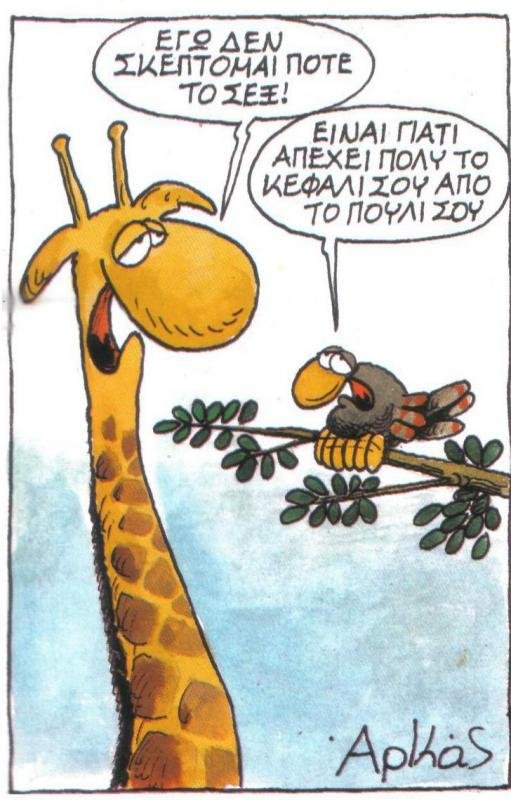 arkas9.jpg