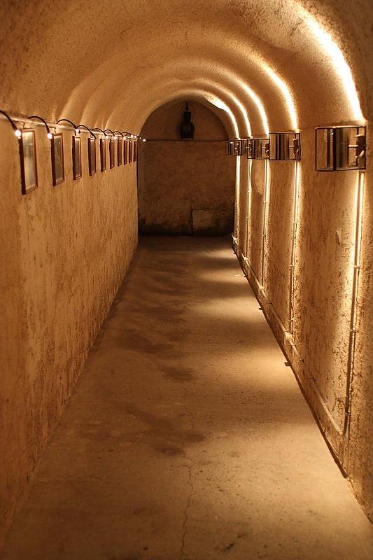 IMG_7863 web 1500.jpg