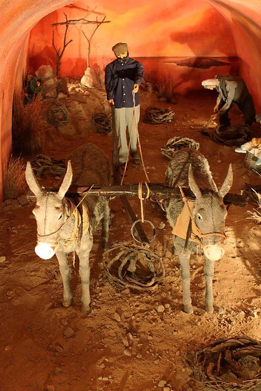 IMG_7811 web 1500.jpg