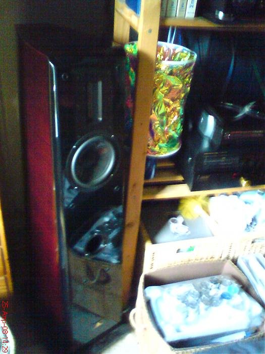 DSC00395.jpg