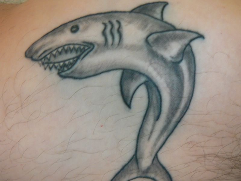 P1000084 [800x600].JPG