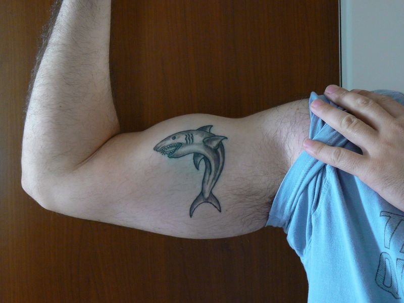 P1000089 [800x600].JPG