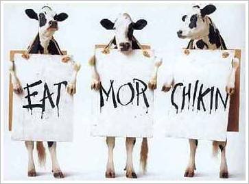 cows-eat-chicken.jpg