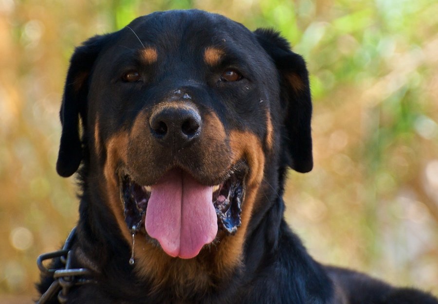 DSC_2117 (1 of 1).jpg