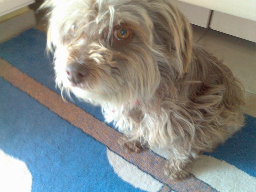 09042007049.jpg