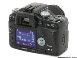 images3.jpg