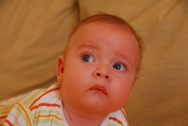 DSC_0081.jpg