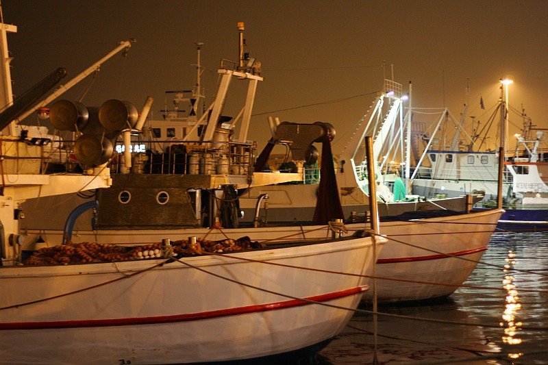 giortiaggelon 038.jpg