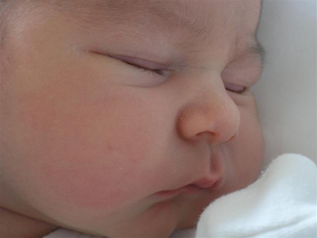 PC270002 (Small).JPG