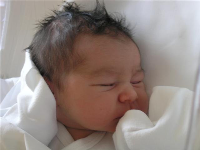 PC270001 (Small).JPG