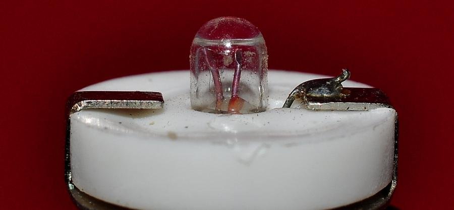 DSC_8239.jpg