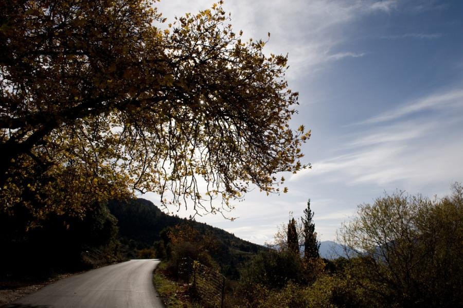 Γκούρα 0565-2 small.jpg