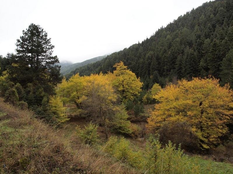 Zarouchla2010_110.jpg