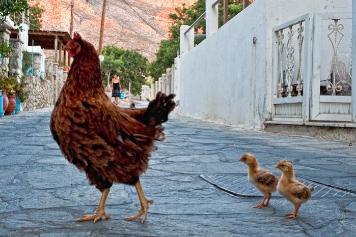 20090823 - 049-7-Edit.jpg