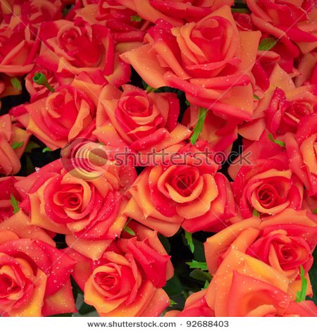 stock-photo-fake-roses-floral-background-92688403.jpg