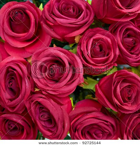 stock-photo-fake-roses-floral-background-92725144.jpg