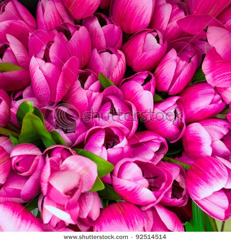 stock-photo-fake-tulips-floral-background-92514514.jpg