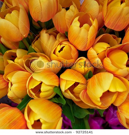 stock-photo-fake-tulips-floral-background-92725141.jpg