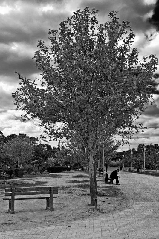 IMGP3027BW.jpg